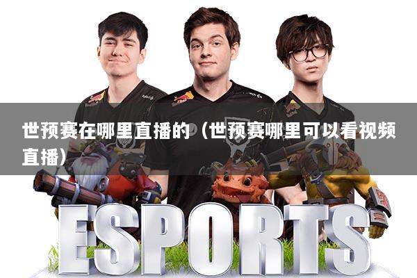 世预赛在哪里直播的（世预赛哪里可以看视频直播）