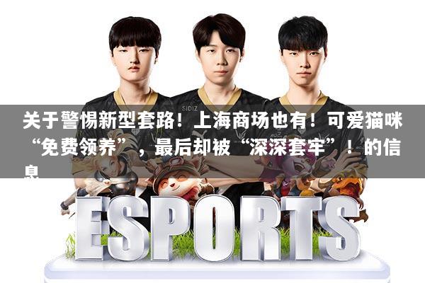 关于警惕新型套路！上海商场也有！可爱猫咪“免费领养”，最后却被“深深套牢”！的信息