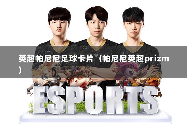 英超帕尼尼足球卡片(帕尼尼英超prizm)