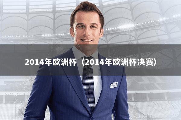 2014年欧洲杯(2014年欧洲杯决赛)