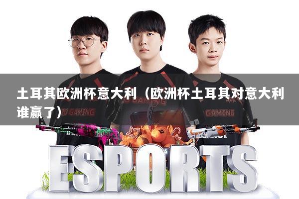 土耳其欧洲杯意大利(欧洲杯土耳其对意大利谁赢了)