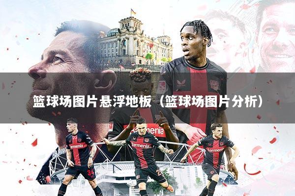 篮球场图片悬浮地板(篮球场图片分析)