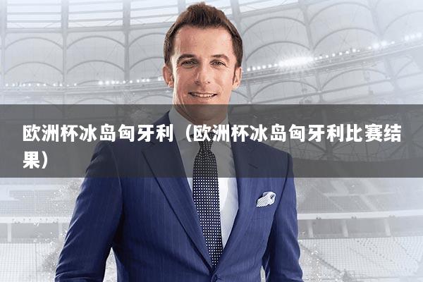 欧洲杯冰岛匈牙利(欧洲杯冰岛匈牙利比赛结果)