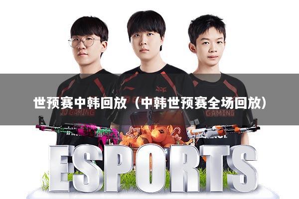 世预赛中韩回放(中韩世预赛全场回放)