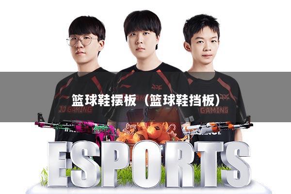 篮球鞋摆板(篮球鞋挡板)