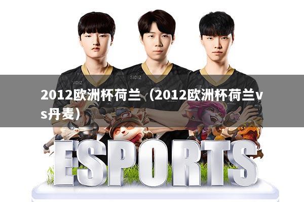 2012欧洲杯荷兰(2012欧洲杯荷兰vs丹麦)