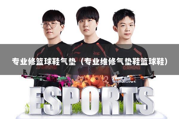 专业修篮球鞋气垫(专业维修气垫鞋篮球鞋)