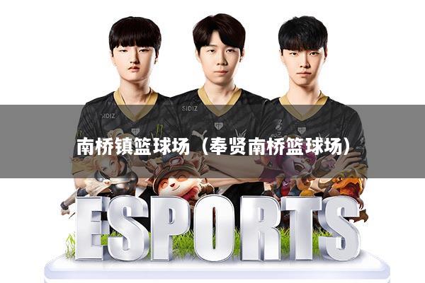 南桥镇篮球场(奉贤南桥篮球场)