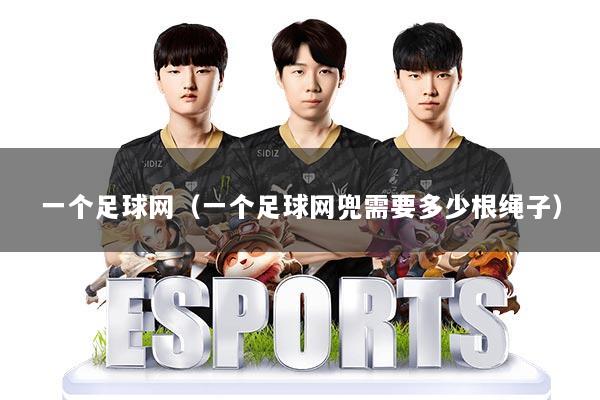 一个足球网(一个足球网兜需要多少根绳子)