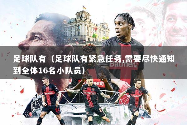 足球队有(足球队有紧急任务,需要尽快通知到全体16名小队员)