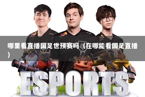 哪里看直播国足世预赛吗(在哪能看国足直播)