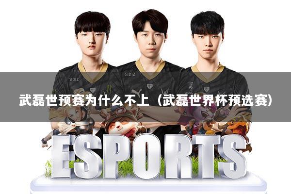 武磊世预赛为什么不上(武磊世界杯预选赛)