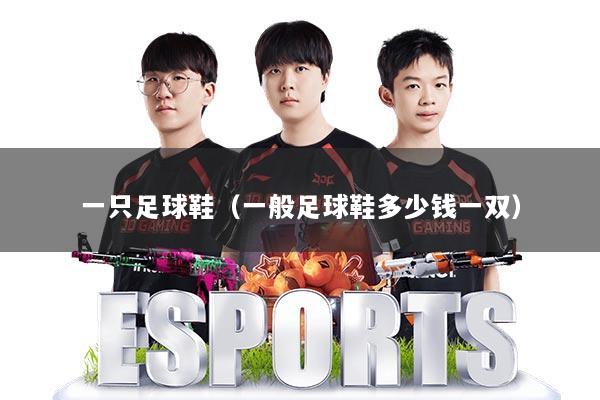 一只足球鞋(一般足球鞋多少钱一双)