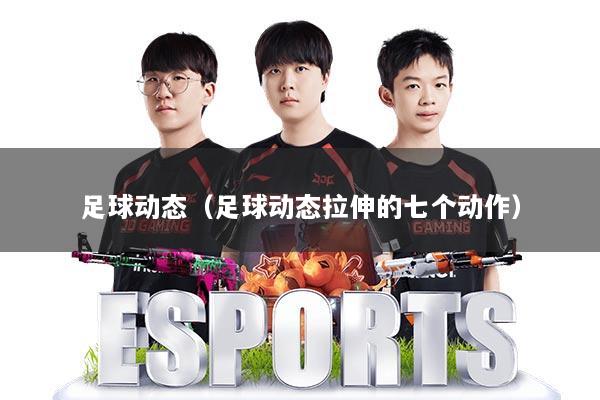 足球动态（足球动态拉伸的七个动作）