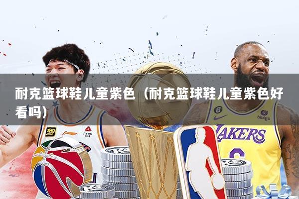 耐克篮球鞋儿童紫色(耐克篮球鞋儿童紫色好看吗)