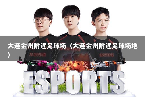 大连金州附近足球场(大连金州附近足球场地)