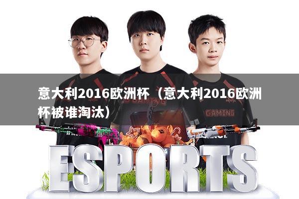 意大利2016欧洲杯（意大利2016欧洲杯被谁淘汰）