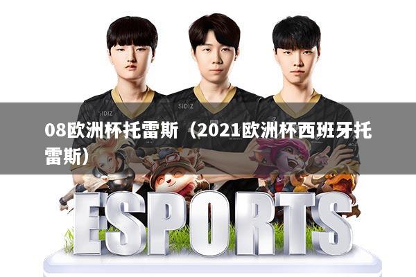 08欧洲杯托雷斯(2021欧洲杯西班牙托雷斯)