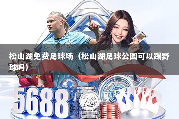 松山湖免费足球场（松山湖足球公园可以踢野球吗）