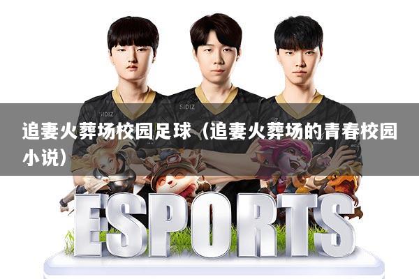 追妻火葬场校园足球(追妻火葬场的青春校园小说)