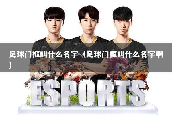 足球门框叫什么名字(足球门框叫什么名字啊)